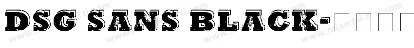 DSG Sans Black字体转换